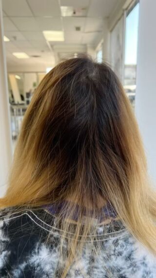 Steven Papageorge Hair Academy - Beauty School Chicago Steven Papageorge Hair Academy - Beauty School Chicago